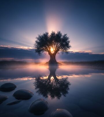 Discover the profound layers of spirituality beyond trends, embracing meaning, connection, and inner growth for a fulfilling life journey.