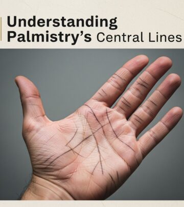 Explore the meanings of your palm's three dominant lines and what they reveal about your life.